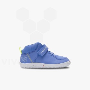 Blue Kids' Vivobarefoot Primus Ludo Hi Preschool Shoes | IN409TL