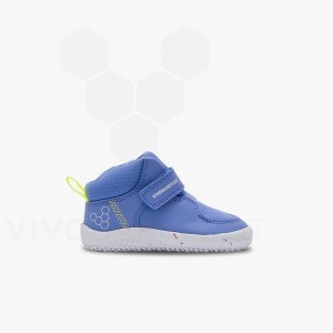 Blue Kids' Vivobarefoot Primus Ludo Hi Toddlers Shoes | IN407VJ