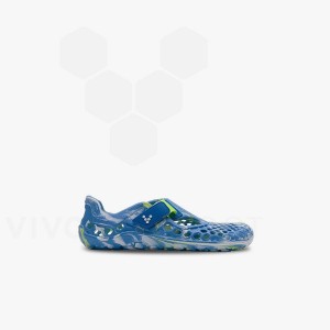 Blue Light Turquoise Kids' Vivobarefoot Ultra Bloom Preschool Shoes | IN390MM