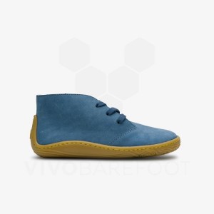 Indigo Kids' Vivobarefoot Gobi Addis Juniors Shoes | IN431XG