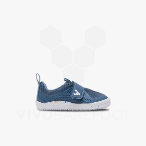 Indigo Kids' Vivobarefoot Primus Sport III Toddlers Shoes | IN369HT