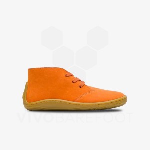 Orange Kids' Vivobarefoot Gobi Addis Juniors Shoes | IN432WH