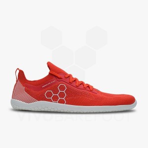 Red Men's Vivobarefoot Primus Lite Knit Training Shoes | IN100QC